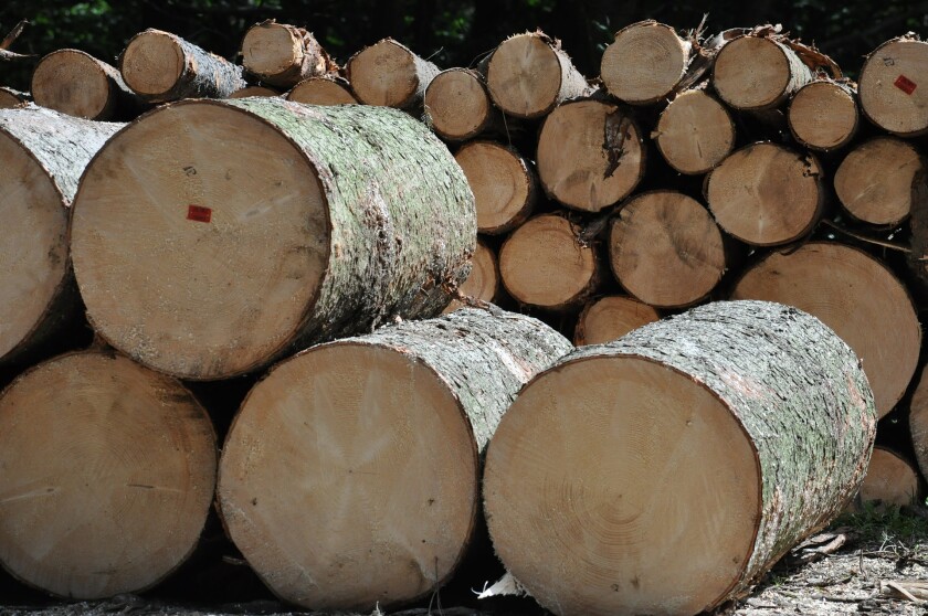 wood_sawmill.jpg