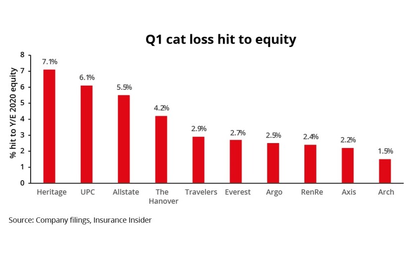 Q1 cat main.jpg