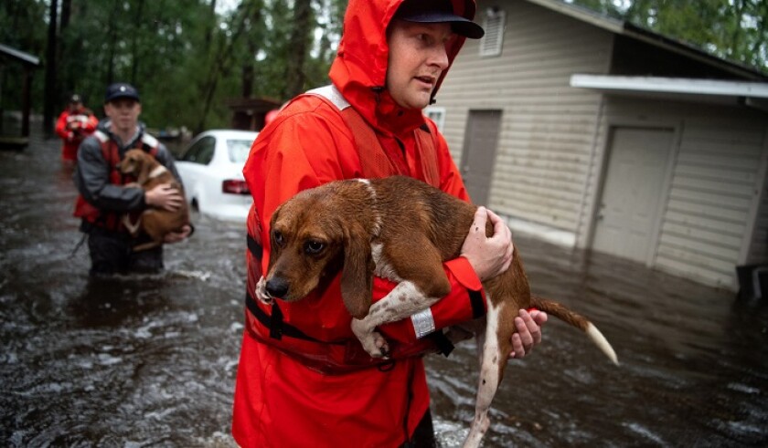 News: Hurricane Florence