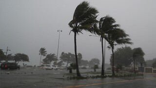 Hurricane Fred.jpg