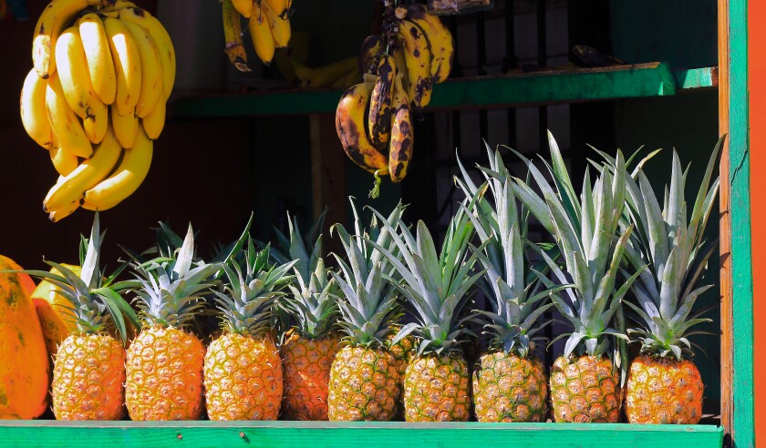 Caribbean LatAm aggriculture food pineapples.jpg
