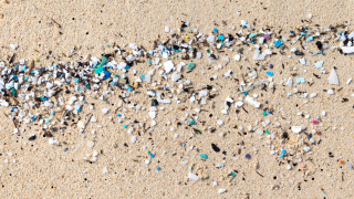Microplastics-2025.png