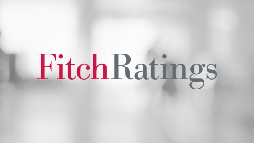 Fitch Ratings.png