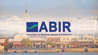 abir bermuda.jpg