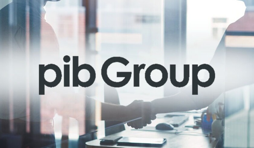 pib group logo.jpg