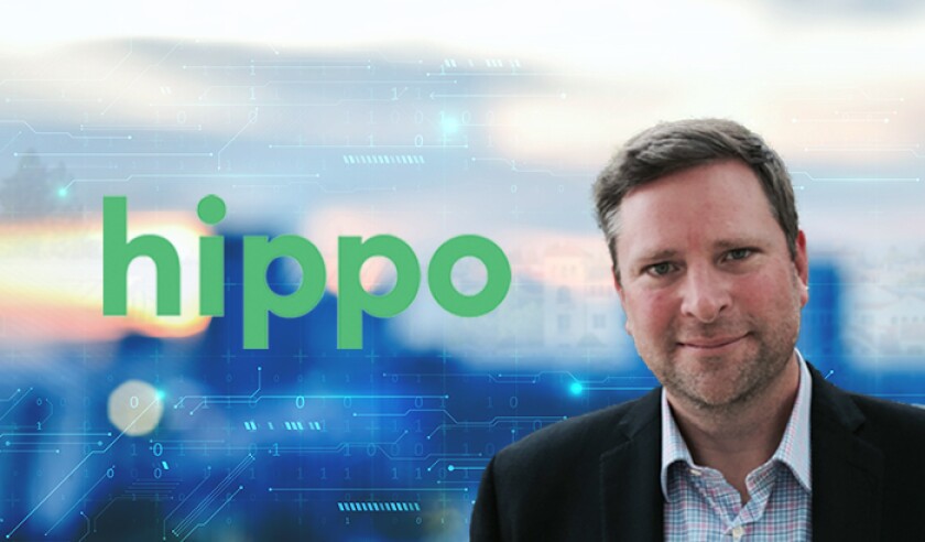 Hippo logo with Richard McCathron cyber tech blur background.jpg