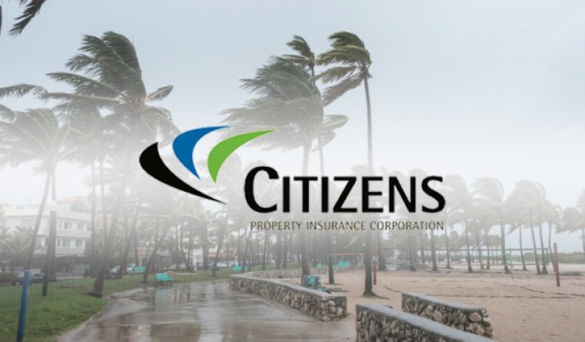 Citizens logo palm trees storm.jpg