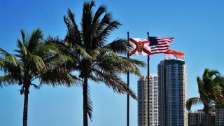 Florida flag palm trees.jpg