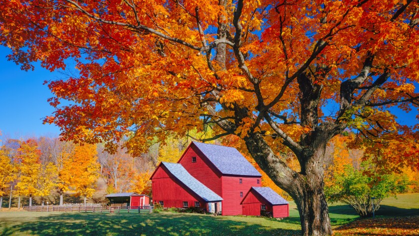 Vermont autumn with rustic barn