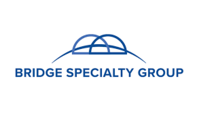 bridge_specialty
