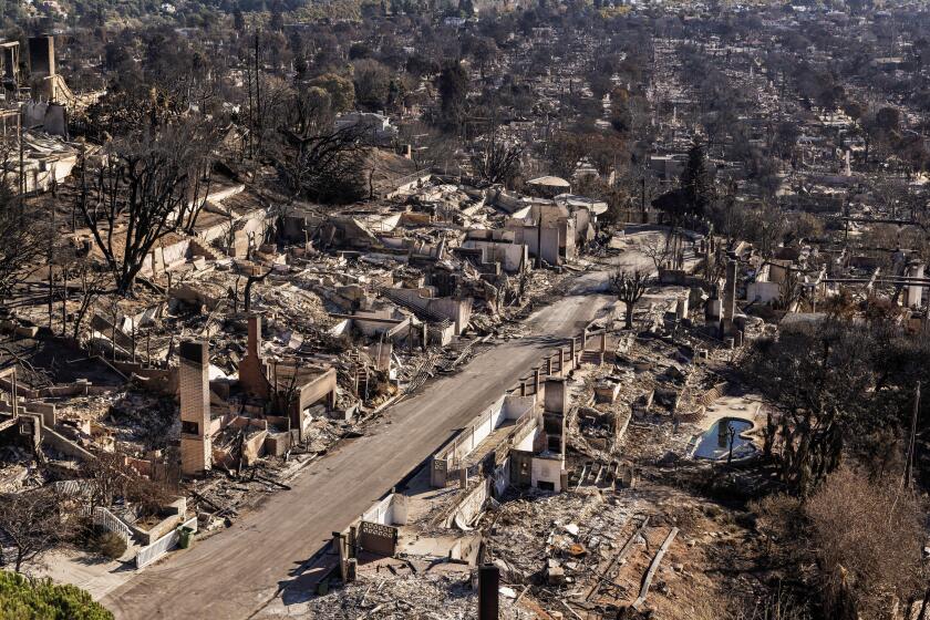 Palisades Fire aftermath. Clean-ups and infrastructure repair begin. Residents are still not allowed in, and the National Guard is in place to thwart looters and sightseers. The residential area of the Palisades ravaged by fire. 1/14/2025 Pacfic Palisades