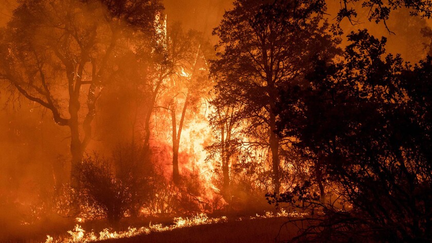 CA: The Creek Fire