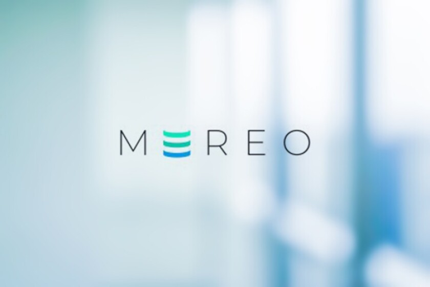 Mereo promotes Holden to CUO | Insurance Insider
