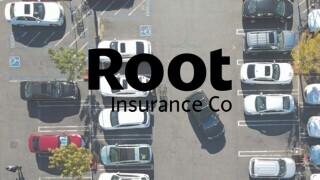 Root logo car parking lot.jpg
