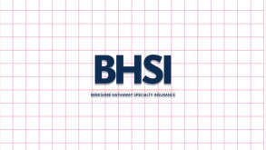bhsi logo grid.jpg