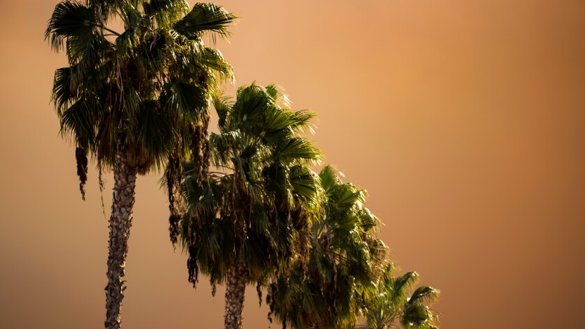 California Wildfire