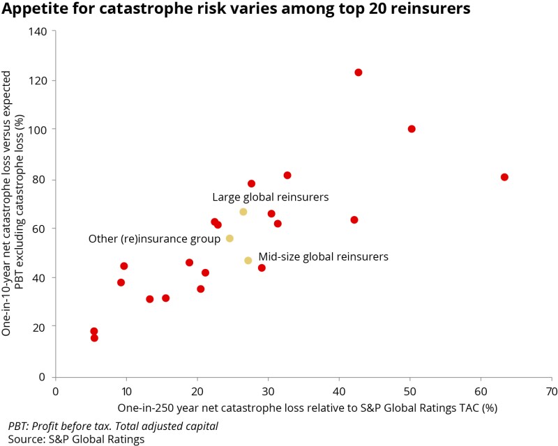 Appetite for catastrophe risk varies among top 20 reinsurers.jpg