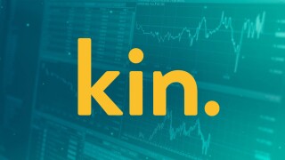 Kin.jpg