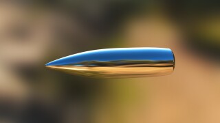 silver bullet trapping issues TRW April 15 2024
