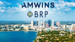 amwins brp risk logo tampa fl.jpg