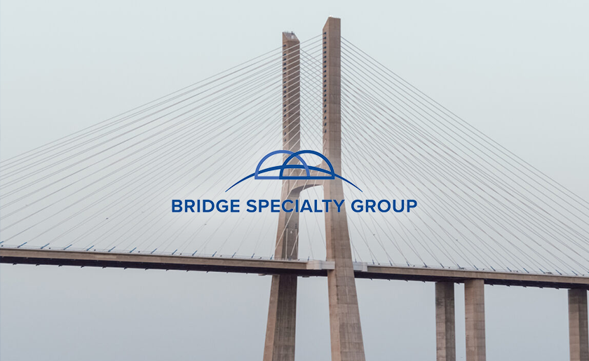 Bridge-Specialty-Group.png