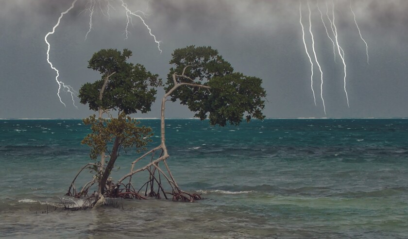 Caribbean Hurricane Catastrophe.jpg