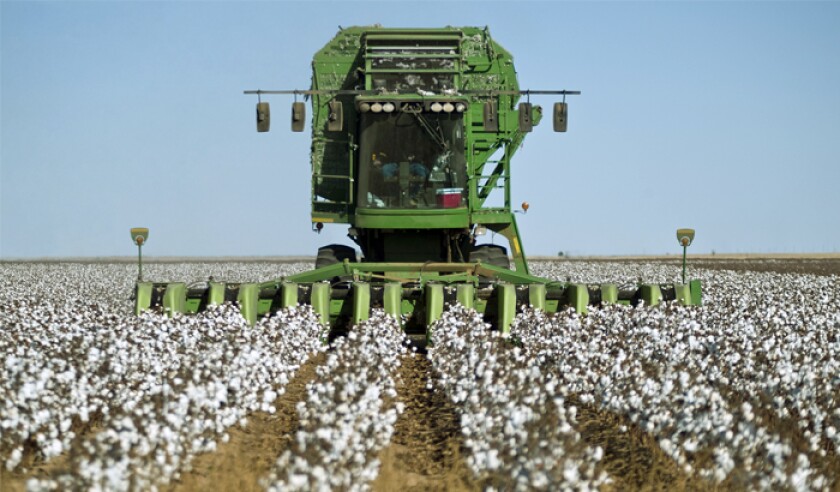 giant-green-cotton-stripper-harvesting-mature-cottons-istock-471122719.jpg
