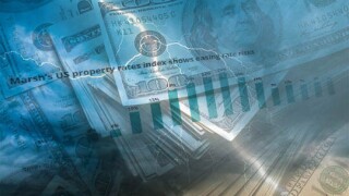 cat main thunder2.jpg