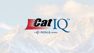 Cat-IQ-2025.jpg