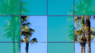Palm tree reflections in glass office windows