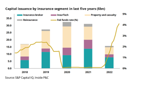 Capital issuance by insurance segment_cover.png