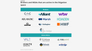 Brokers-and-mgas-that-are-active-in-the-litigation-space-lead.png
