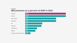 E-s-premium-as-a-percent-of-gwp-in-2024-lead.png
