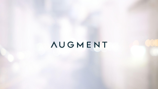 Augment-2024.png