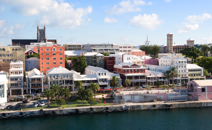 hamilton bermuda.png