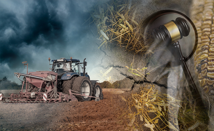 Casualty-harvest-2.png