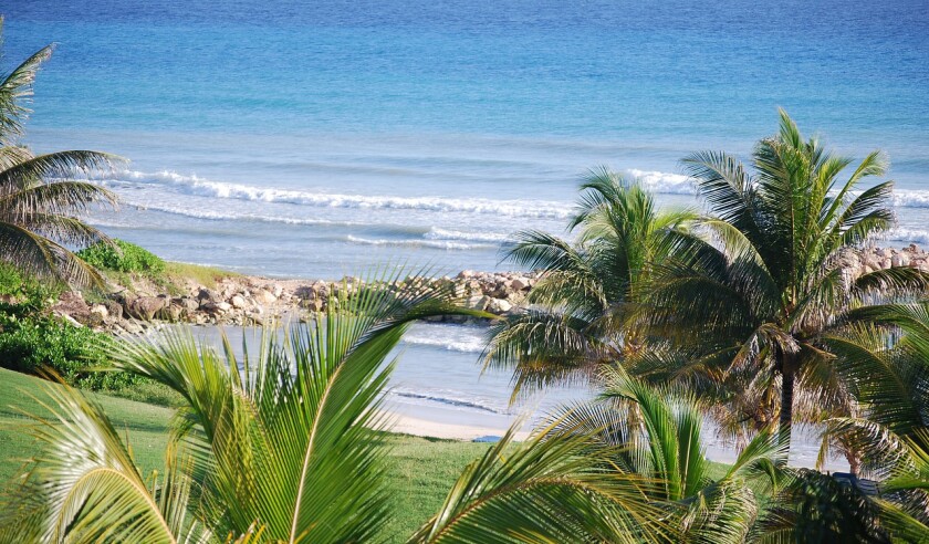 jamaica.jpg