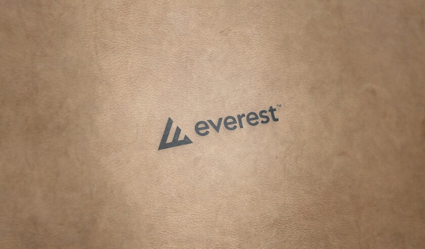 Everest Brown Paper.jpg