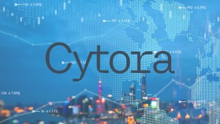 Cytora logo world map.jpg