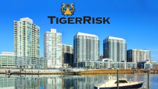 TigerRisk logo Stamford CT 21.jpg
