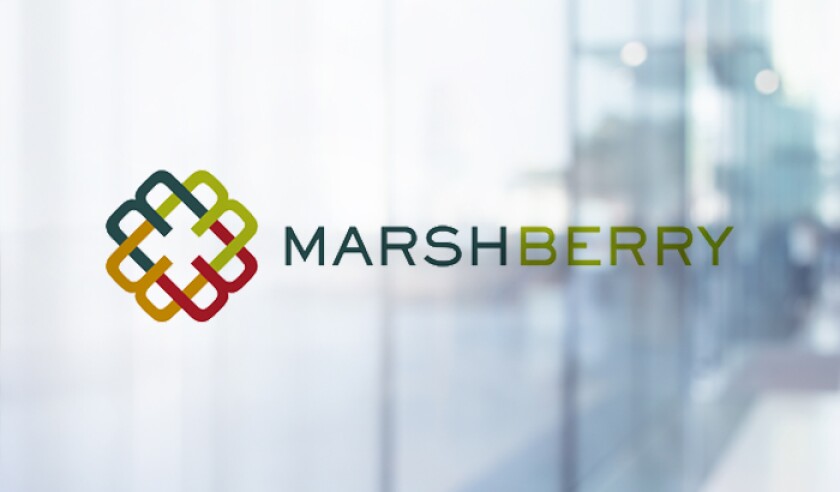Marshberry logo abstract glass.jpg