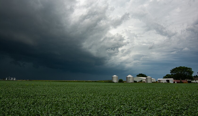 Incoming Derecho approaching across the corn fields. August 2020.