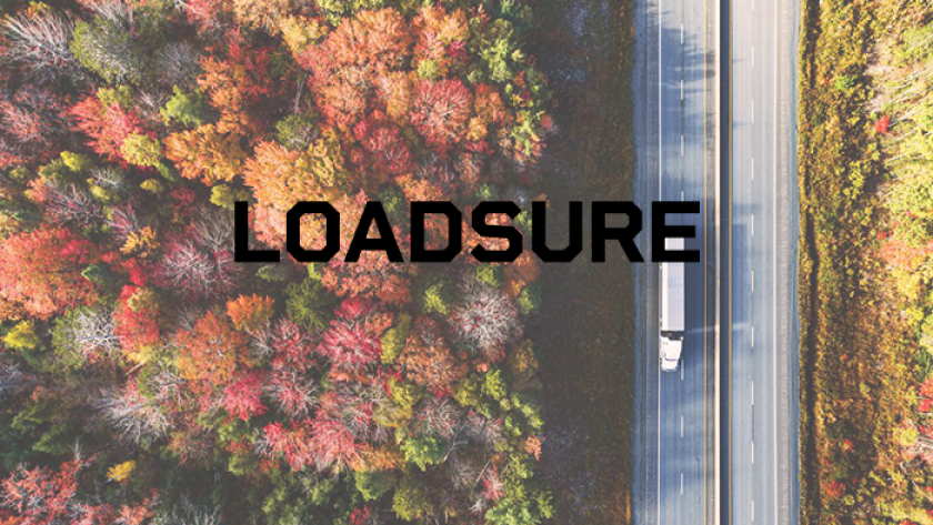 Loadsure.png