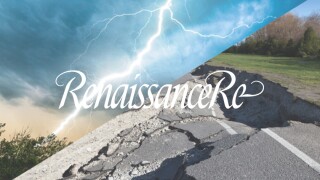 RenRe RenaissanceRe logo split cats.jpg