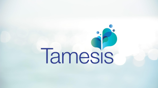 Tamesis-Dual-2025.png