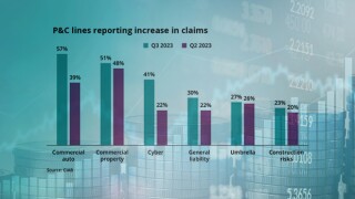 c main casualty 2.jpg