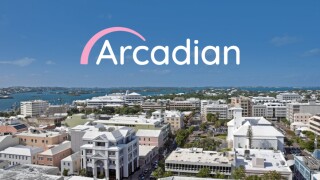 arcadian bermuda.jpg